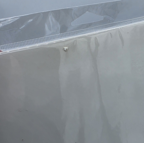 2006 WWE CM Punk Photofile Promo Print RARE - Picture 6 of 6